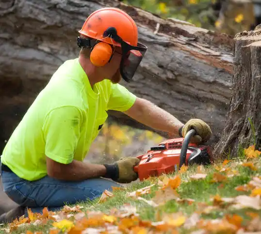 tree services Sewaren